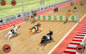 Cách Chơi Game Nhanh Đua Chó B52Club: Dự Đoán Thần Tốc Thắng Lớn