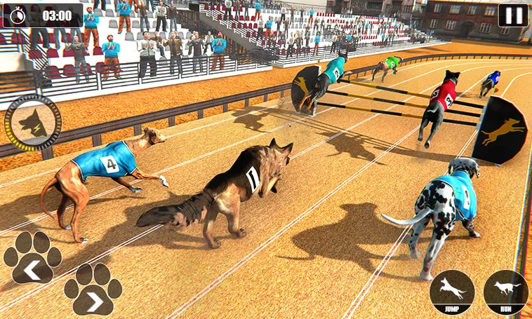 Cách Chơi Game Nhanh Đua Chó B52Club: Dự Đoán Thần Tốc Thắng Lớn